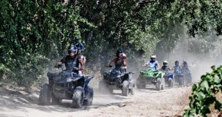  Excursión con amigos 